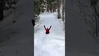 2026 Winter Olympics - Gold Medal Estonian Bobsled Run
