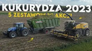 🔥KUKURYDZA NA KISZONKĘ 2023🔥U.R AGRO MARK MAREK WOŹNIAK🔥GR SAROWSKI🔥5 ZESTAW&Oacute;W W AKCJI🔥VIXA🔥