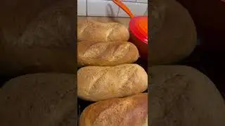 CHLEB PSZENNY