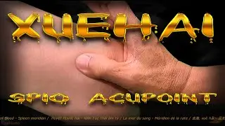 SP10 | Xuehai Acupoint | Sea of Blood Acupoint | Spleen meridian | Acupressure VIKUDO