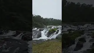 Pyakra water falls in Tamilnadu #ooty #trav