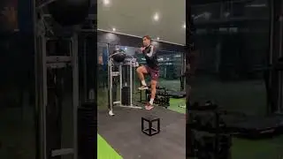 Sprinter Step Ups