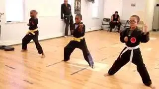 Dragons Lair Dojo Hempstead P A L