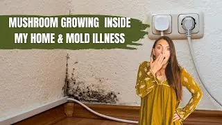 Mushroom Growing Inside My Home, Discovering Mold & Biotoxin Illness (Personal Story)