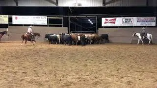 SL PEP CEE 5/24/20. 15,000 Novice Horse NonPro ASWTCHA at Nueces Canyon