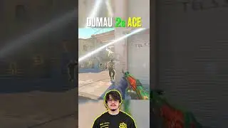 dumau INSANE 2s spray ACE 🔥