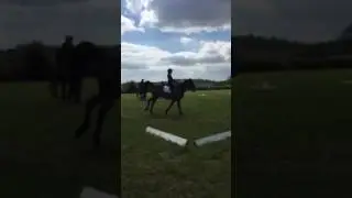 Moojane
