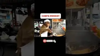 NOODLES by : CHEF MONKEY #chefmonkey #monkey #monkeyvideo