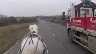 Driving in town traffic - Silver the cob