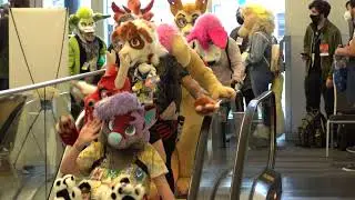 [4K] Further Confusion | 2023 | Fursuit Parade