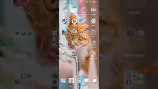 real research app account