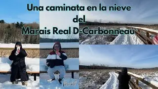 Una caminata en la nieve❄️ en un pantano | Desde 🌵Cd. Juárez a Sherbrooke, Canadá 🍁