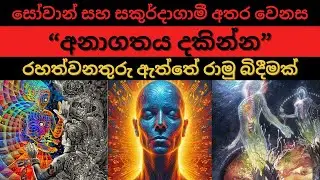 අනාගතය දකින්න  | රහත්වනතුරු ඇත්තේ රාමු බිදීමක් | සෝවාන් සහ සකුර්දාගාමී අතර වෙනස