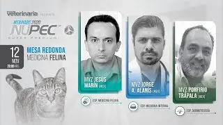Webinars Nupec 2020 | Mesa Redonda Medicina Felina