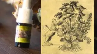 Bioaroma Intrducion Clip 3