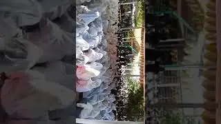 Live Ustadz Abdul Somadd