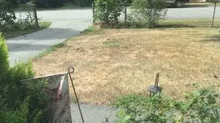 Afternoon crowd 🐦 (08/11/22)