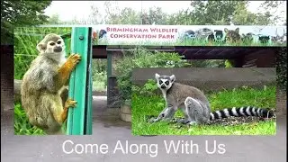 Visiting Birmingham Wildlife Conservation Park With Friends | Steff Hanson