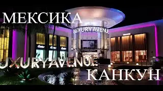 Поездка в Мексику. Обзор цен на Тэкилу и продукты в Канкуне