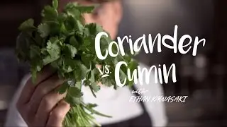 Spice Blends: Coriander vs. Cumin | Cafe Zupas