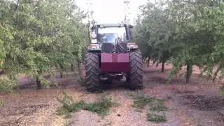 Poda Mecanizada con Discos: Plantación Almendros Antoñeta- Hornachuelos (Córdoba)- 2012