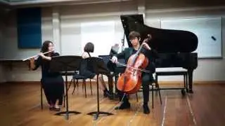 C.M v Weber Trio for flute, cello and piano in G minor op.63 1st movement