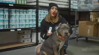 🐕 How Does CBD Help Pets? | Broad Spectrum CBD Tincture for Dogs and Cats