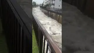 大雨後の河川【目黒区　大岡山】　#tokyo #洪水　#災害