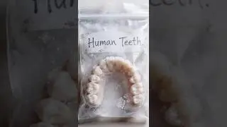 Teeth #facts #teeth #teethcare #science