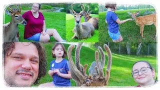 Deer Encounter That Surprised Us All | Autism Parenting (S4E72)