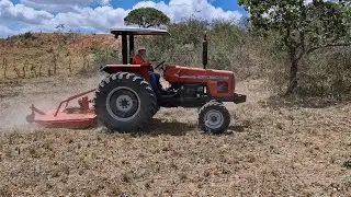 Trator MF advanced ro&ccedil;ando o mato no s&iacute;tio barreiros