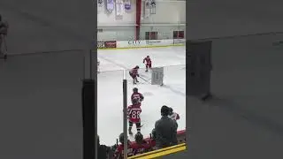 Panthers IceDen 1/2/21 Makos 8u vs Hawks
