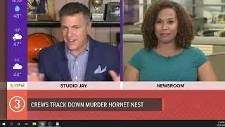 WATCH | 'What's New' with Jay and Romney