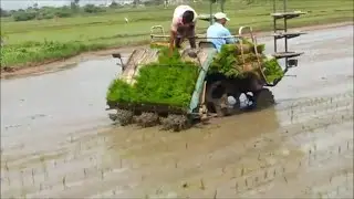 మెషీన్ తో వరినాట్లు || Paddy Planting Machine || M Srinivas || #Saagubadi