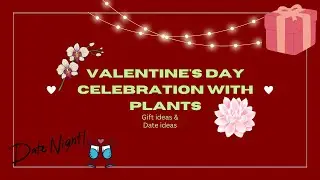 Love Grows: Celebrating Valentine's Day with Plants in 2024!