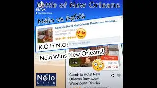 N&eacute;lo LifeTravel wins again! 