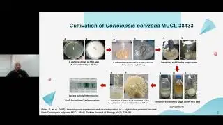 Valorization of Waste into Value-Added Products Through Bioprocesses