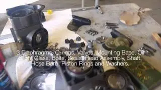 Hypro Diaphragm D403 Pump | Sprayer Depot, #1 for Spray Equipment