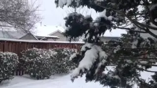 Snopocalypse February 2014