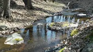 Potok Ružana