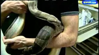 Federal Ban Affects Snake Business