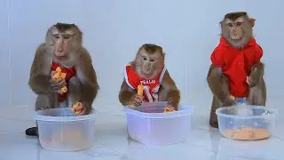Obedient Kako Family Eating Snack In Big Plastic Bowls