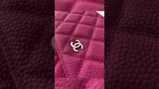 Chanel Wallet on Chain (WOC) Handbag Hardware Protectors