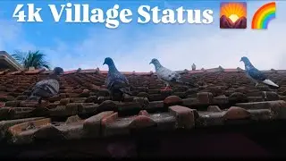 Best Nature Status|| Village Nature|| 4k village status|| #shorts #nature #4kstatus #viral #trending