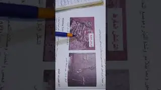 العلوم الصناعية/فصل5/م3