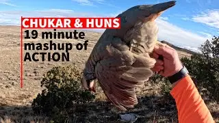 CHUKAR & HUN Hunting COMPILATION! 19 Minutes of SHOOTING!