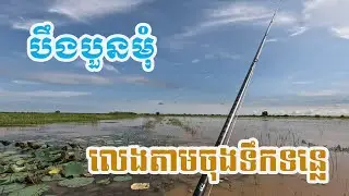 បឹងបួនមុំ លេងតាមចុងទឹកទន្លេ