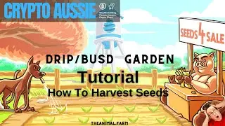 DRIP Garden Tutorial: How To Harvest Your Seeds Everything Explained!