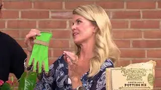 Dig It in Action on CUTV News