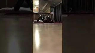 cat bowling